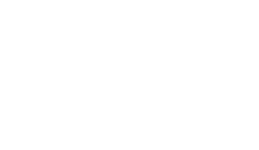 Elite White Logo